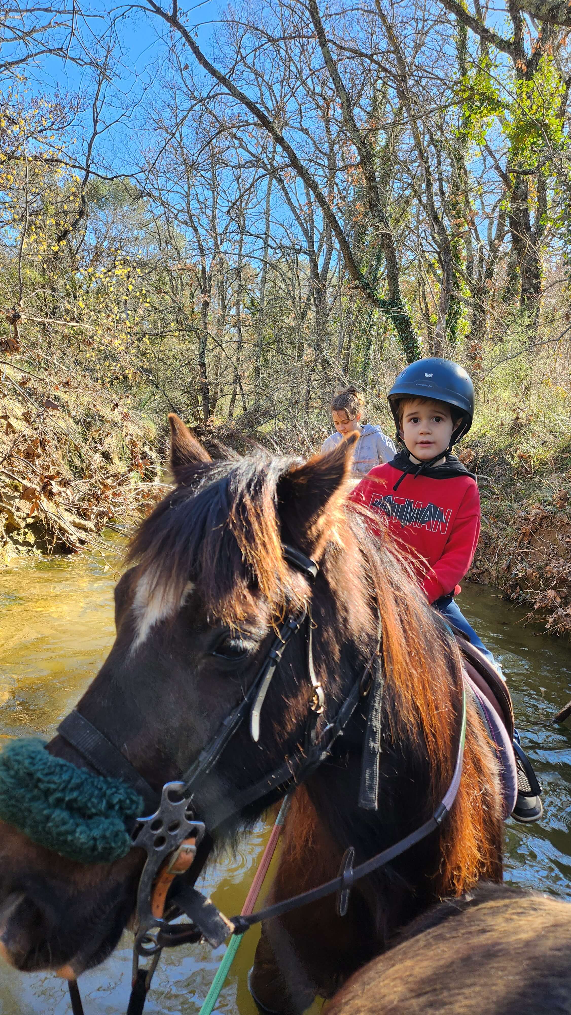 Cheval Lucien