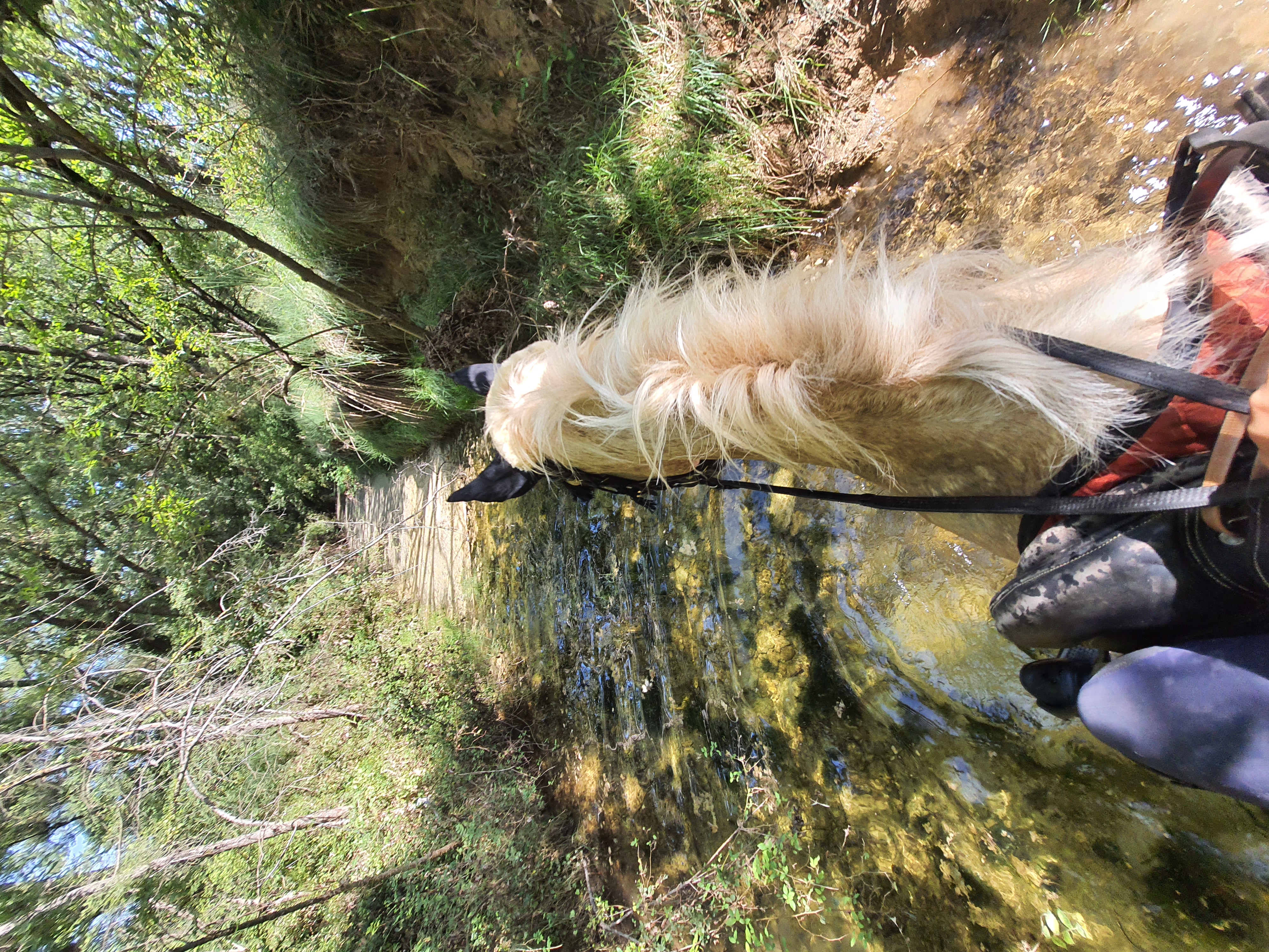 Balade près de la rivière